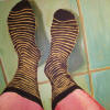 My Striped Socks